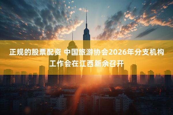 正规的股票配资 中国旅游协会2026年分支机构工作会在江西新余召开